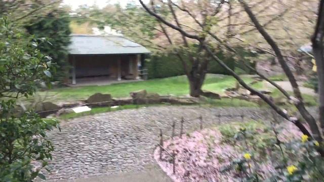 Японский сад в Садах Мира. Берлин. Часть 1. смотреть онлайн