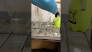 Удаление налёта внутри фары, мойка стёкол фар