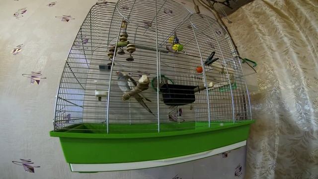 Корелла: 6 часов за 74 секунды! смотреть онлайн