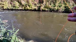 НАХЛЫСТ x  ОСЕННИЙ КАРАСЬ #69