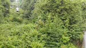 Канатная дорога в Нальчике: история одной поездки