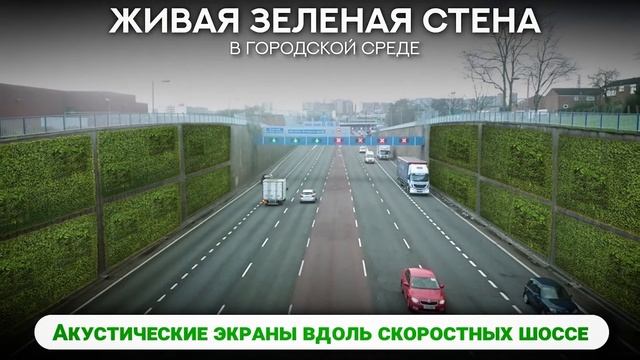 Вертикальные зеленые стены из сфагновых модулей в городской среде.