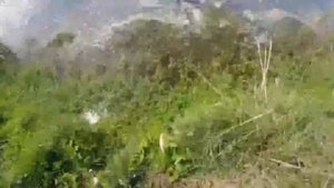 Невероятно, крокодилы в России, откуда они там?!