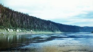 Подкаменная Тунгуска 1980