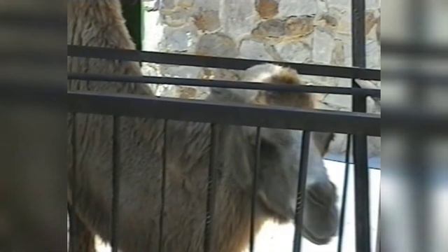 КРЫМ 2010 смотреть онлайн