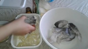 Саламур из толстолоба
