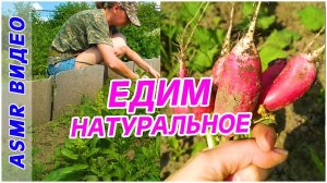 ASMR_ ПП салат. Едим натуральное. Жизнь в деревне.