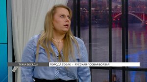 Русская псовая борзая: особенности породы собак и содержание