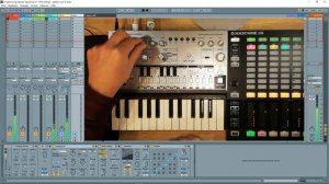 Behringer TD-3 creating melodic patterns with Ableton Scale and arp
