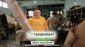 Эти саженцы проверили 5 агрономов