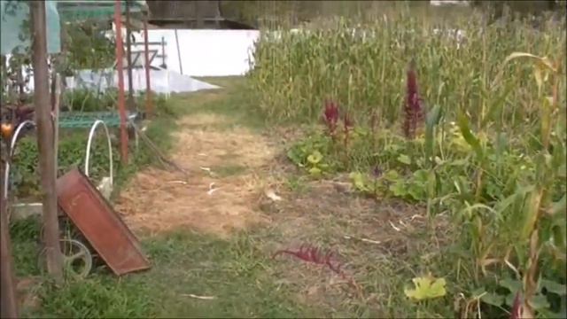 Куры на огороде ч 1 смотреть онлайн