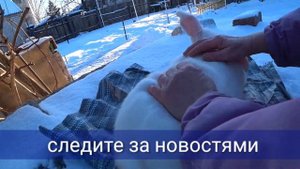 ПОЧЕМУ КРОЛЬЧИХА ДЕРЁТСЯ С КРОЛОМ /Основные причины драки при размножении кроликов //КУРЫ КРОЛЫ