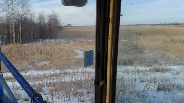 Почему один на тракторе ЮМЗ езжу в лес, в деляну за дровами