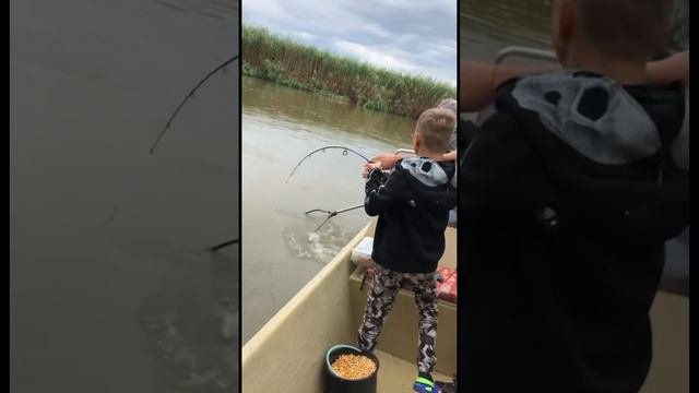 Санька тащит Сазана. База Ольга. #семья #лето #рыбалка #астрахань #сазан смотреть онлайн