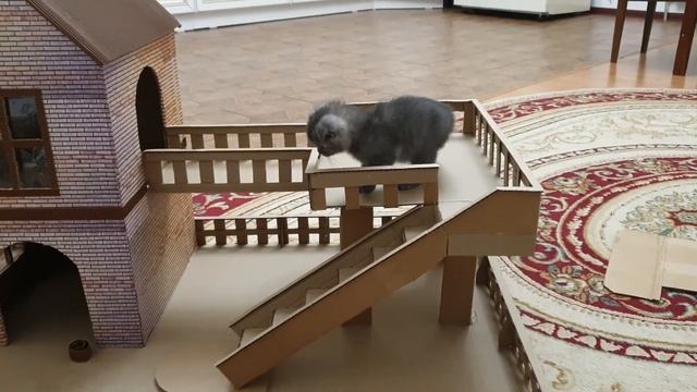 Кошкин Дом смотреть онлайн