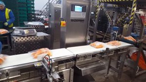 Чеквейер контрольные весы Bizerba CWE maxx 6000 работа и запуск