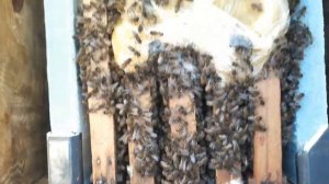 БАНК МАТОК!