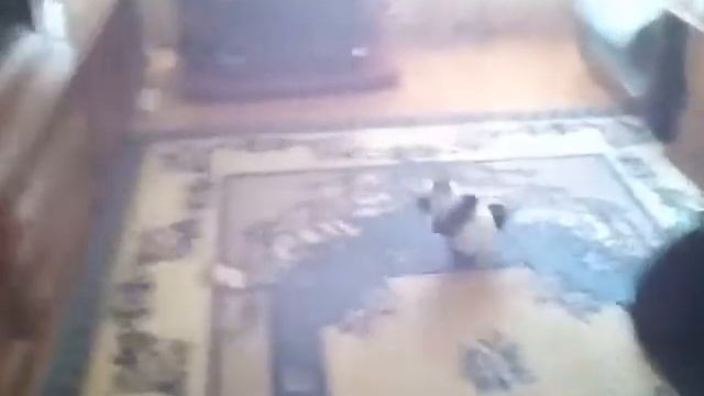 Магия #2 Силовая энергия смотреть онлайн