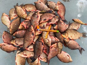 БРОСИЛ ВСЁ И ПОСТАВИЛ КРЕСТ НА РЫБАЛКЕ! рыбалка на карася весной.mp4