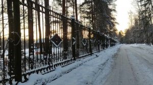 Утро в Сосновке, Санкт-Петербург