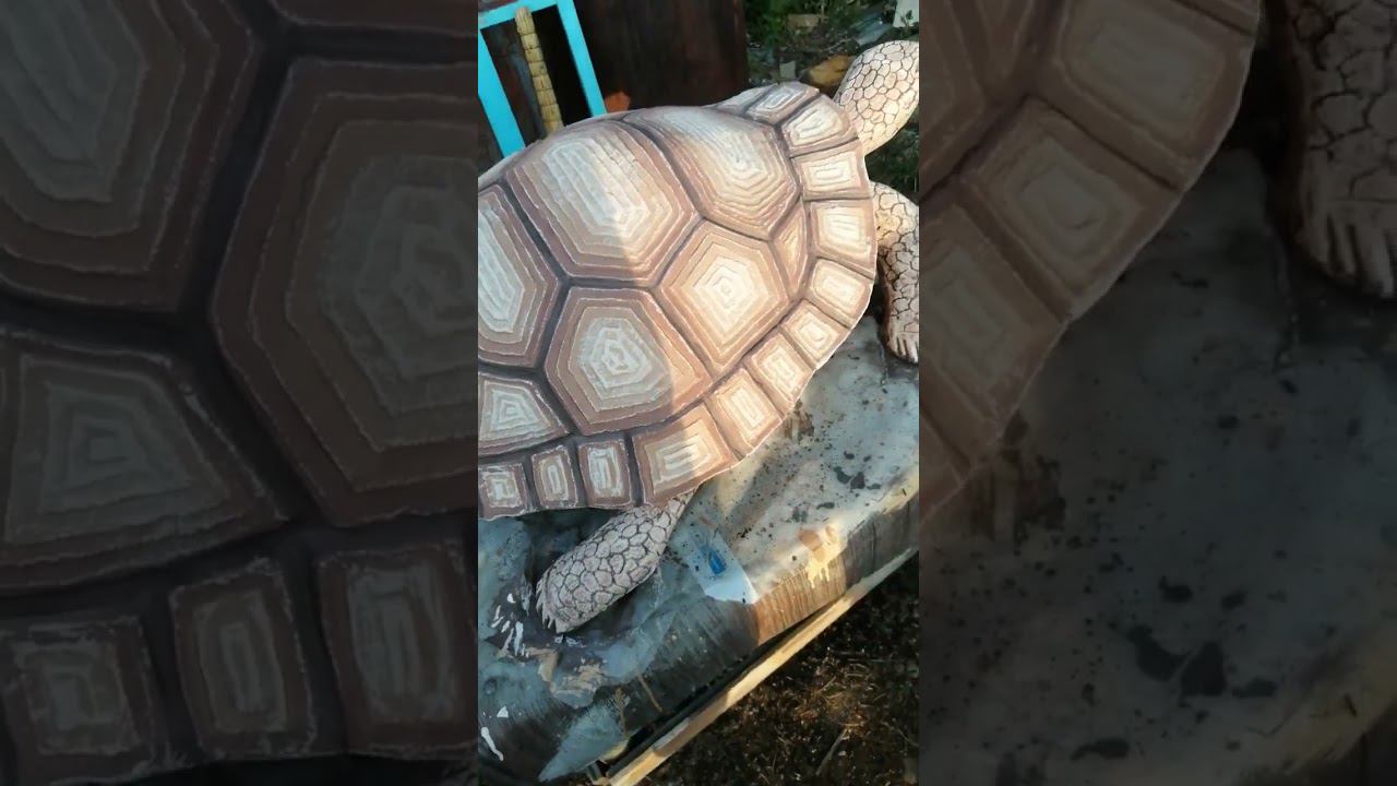 Черепаха  из цемента  работа  мастера Виктора #сказочнаямастерскаяколесникова