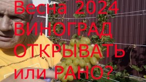 Весна 2024