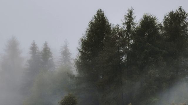 Музыка для сна отдыха и Медитации/Music for sleep relaxation and Meditation смотреть онлайн