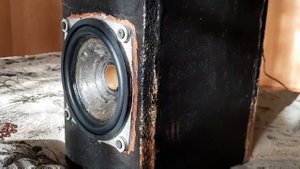 Bass test speakers 25 гдн 1л