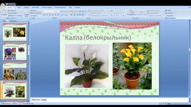 Окружающий мир 1 класс 6 неделя смотреть онлайн