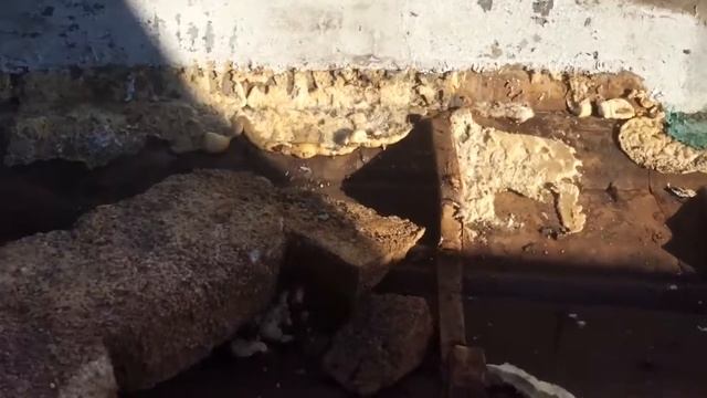 ремонт катера Тэмп ч4