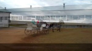 Сибирское подворье, Белокуриха - 2