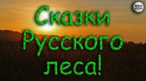 Сказки русского леса | Лесной коп