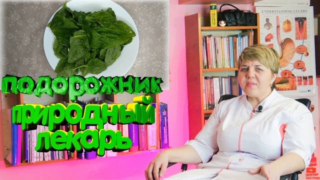 ?Подорожник - природный ?лекарь вашего организма!