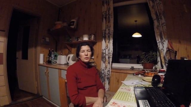 Стельность и запуск коровы.