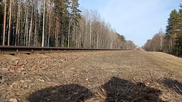 Дизель-поезд ДР1А-326 с приветливой бригадой следует по перегону Осиповичи 1 - Деревцы смотреть онлайн