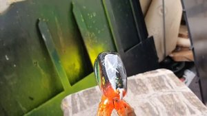 Самодельный воблер с живыми ребрами Аналогов нет