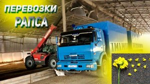 Поехал за РАПСОМ на КАМАЗЕ