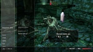 Скайрим. PROJECT AHO (Проект ЭГО) - сюжетный мод. Прохождение на русском, часть 7