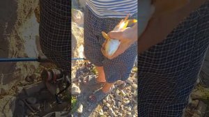 рыбалка Арыс-туркистанский канал