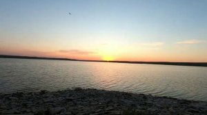 НАКОРМИЛ ГОРОХОМ МАНКОЙ РЫБКОЙ САЗАНА.    Рыбалка с ЛЁХОЙ в Казахстане.