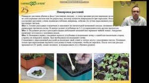 Выращивание цветов на даче. Особенности агротехники