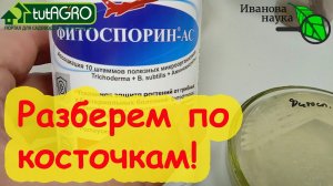 НАУЧНАЯ ПЯТНИЦА. Фитоспорин-АС. Ждать ли чуда? Разбираем препарат на составные части. Пахнет ацццки!