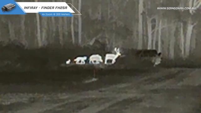 FH25R InfiRay Quality Picture Review смотреть онлайн