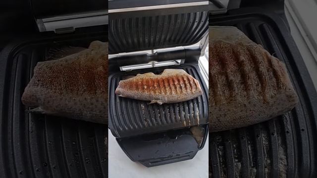 Форель, рыба на гриле Tefal Optigrill+