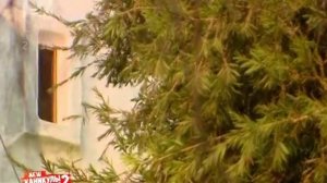 Каникулы в Мексике 2. Эфир 04.03.2013 (280 Серия от ASHPIDYTU в 2013)