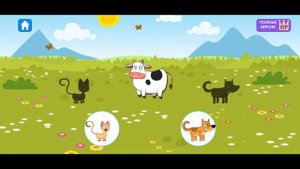 УЧИМ ЖИВОТНЫХ!!! ЧТО КУШАЮТ ЖИВОТНЫЕ!!!