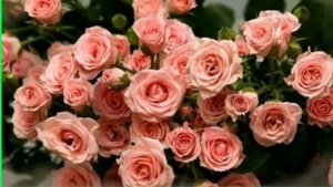 7 лет день рождения поздравления