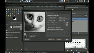 Урок Gimp. Интерактивное Искажение (Фильтр Liquify) (!HD!)