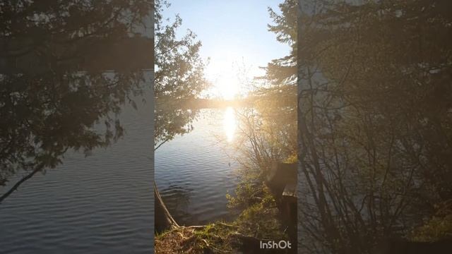 Влог 102 Фантастическая ИСТОРИЯ о Нашем Кемпинге?Готовим МЯСО на Костре