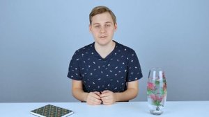 ЧТО ТАКОЕ КОРМ ВЫХОДНОГО ДНЯ ДЛЯ РЫБ?
